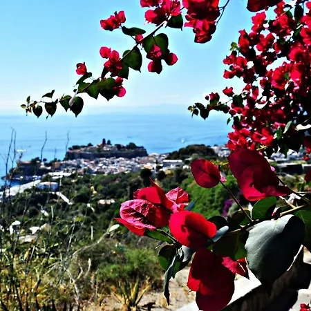 Homestay Casa Masaria Lipari (Isola Lipari)