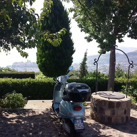 Homestay Casa Masaria