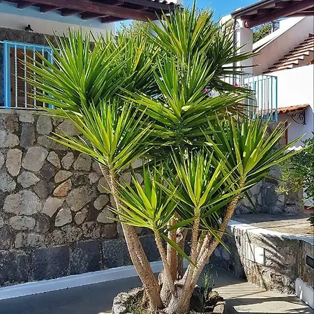 Homestay Casa Masaria